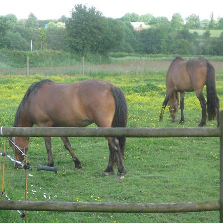 Bed and Breakfast Les Croisettes Le Pin  Екстер'єр фото