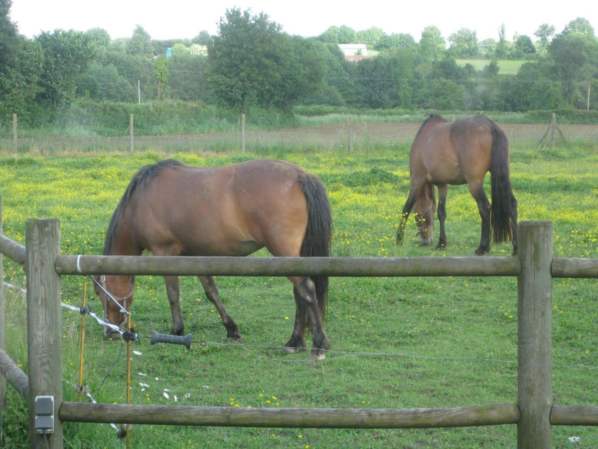Bed and Breakfast Les Croisettes Le Pin  Екстер'єр фото